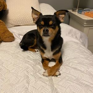 Meet your Posher, Sarah